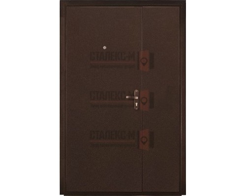 Тамбурная дверь Порошковое напыление -3